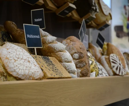 ????????????????????????????????????