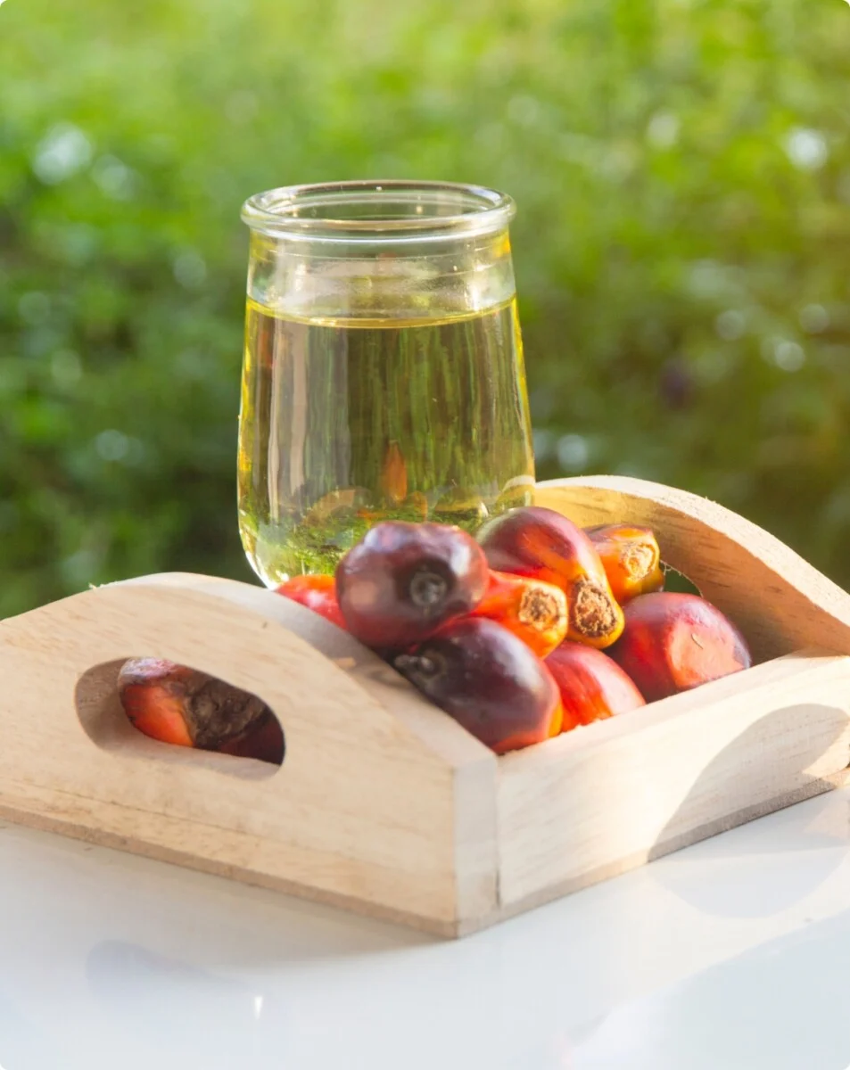 semi di palma da olio con bicchiere di olio di palma