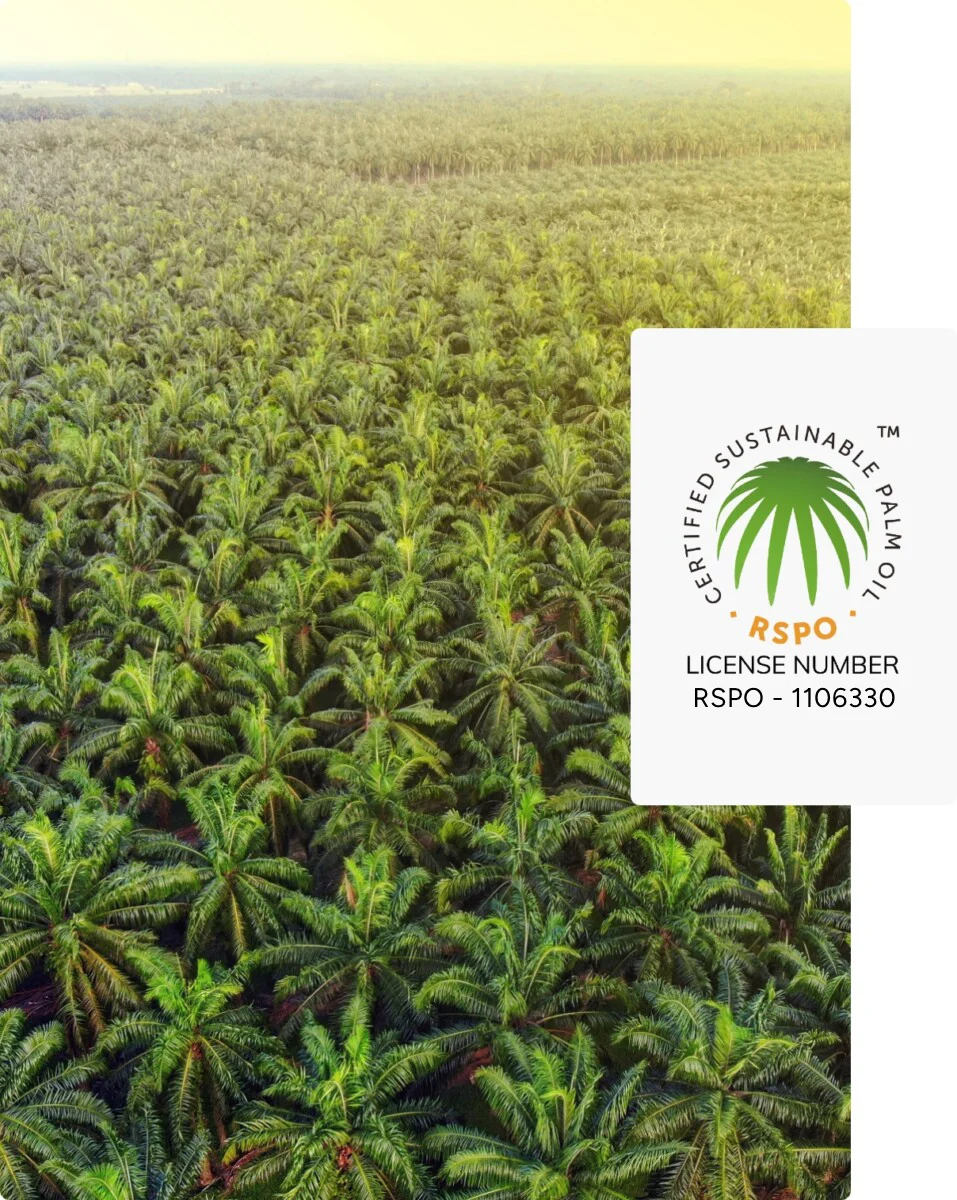 coltivazione palme da olio e logo certificazione rspo