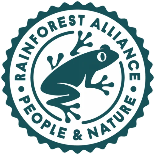 logo rainforest